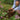 Hands in soil - Annie Green official