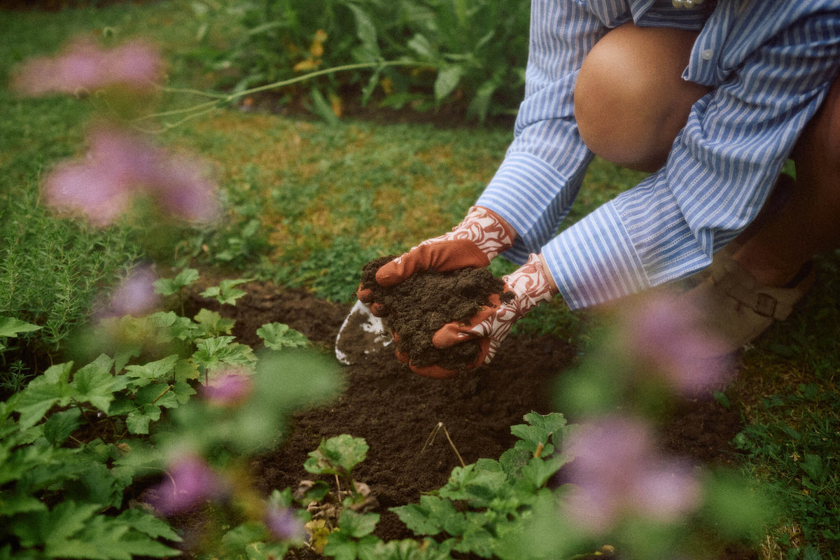 Outdoor Nematodes