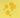 Fungus Gnat traps